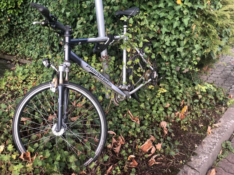 Mein Fahrrad soll in Bewegung bleiben