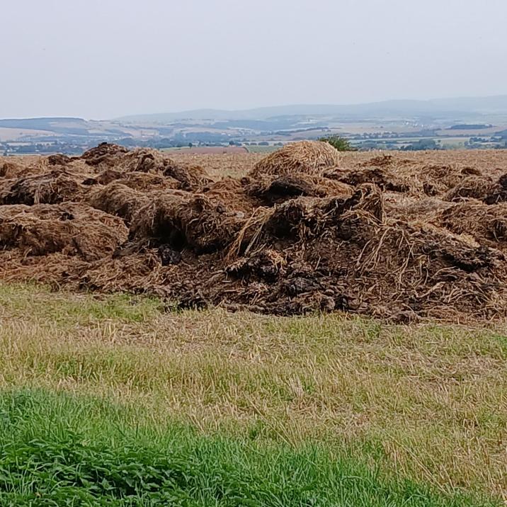 Ein großer Haufen Scheiße